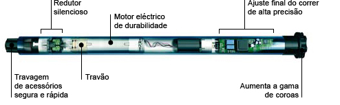 Motor P