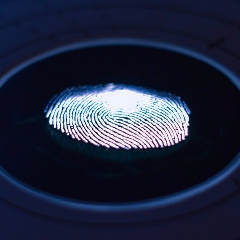 fingerprints